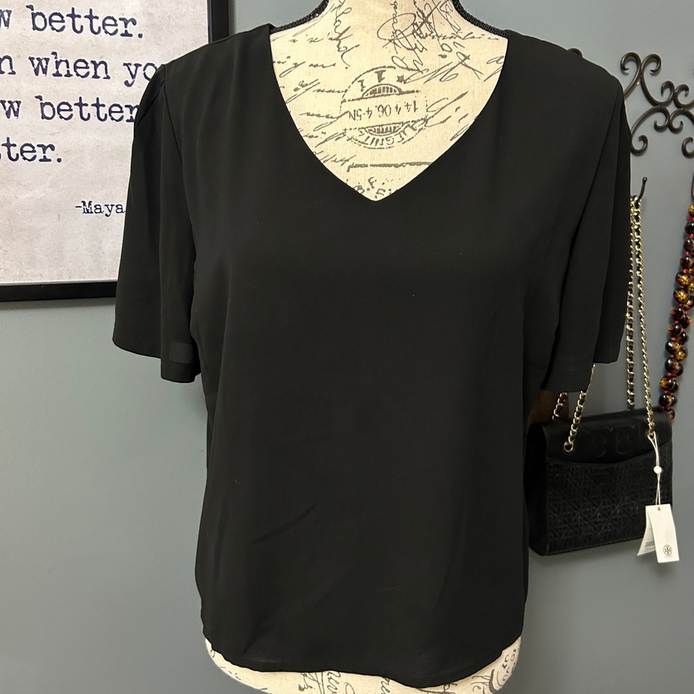 Japna Black V-Neck Blouse-EUC Size Large Super Chic and fully lined.